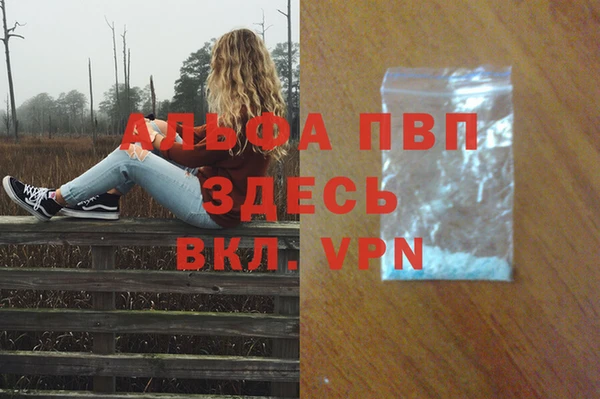 дживик Карпинск