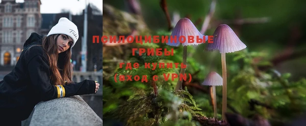 дживик Ветлуга