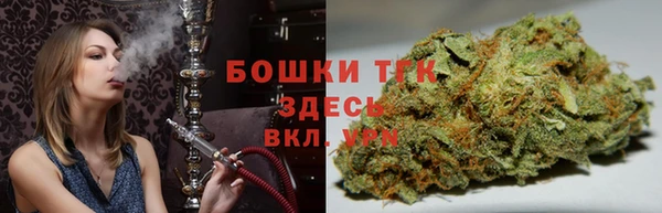 прущие грибы Карталы